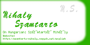 mihaly szamtarto business card